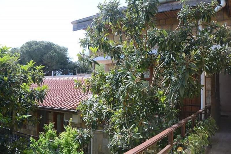 Antonios Motel Side Exterior foto